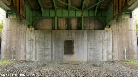 Bronx Underbridge