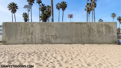 Venice Beach